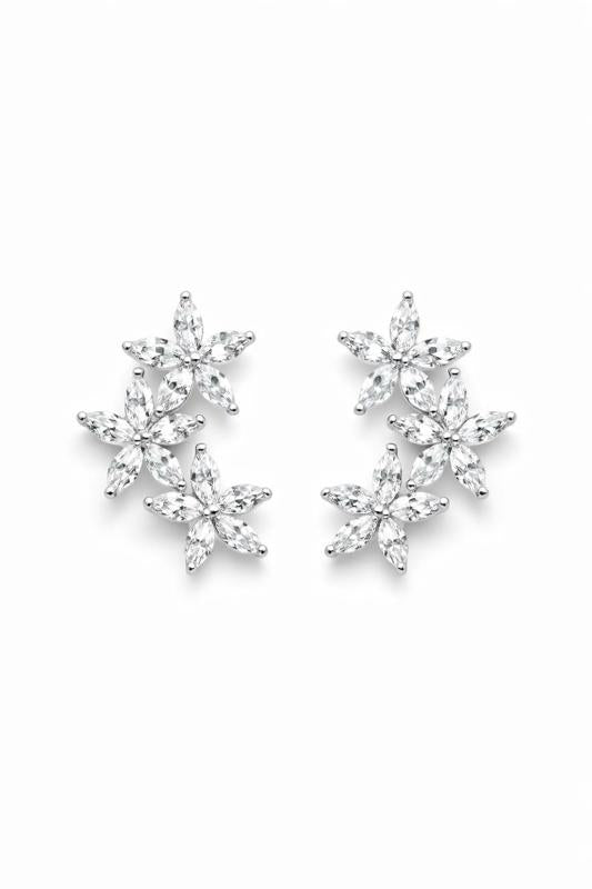 ARETES NOVIA NÉBULA