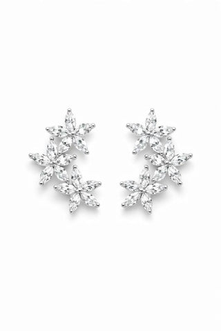 ARETES NOVIA NÉBULA