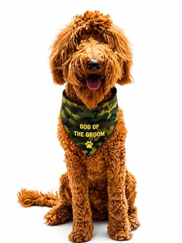BANDANA MILITARY